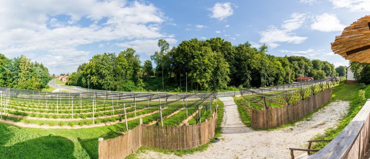 Apartma Zemljanka Ljutomer Bagian luar foto